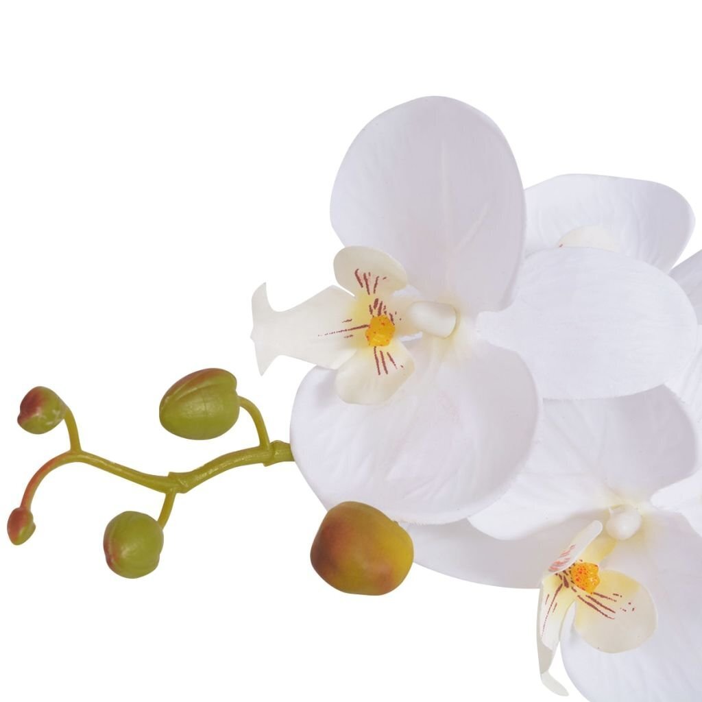 vidaXL mākslīgais augs, orhideja ar podiņu, 65 cm, balta cena un informācija | Mākslīgie ziedi | 220.lv