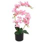 vidaXL mākslīgais augs, orhideja ar podiņu, 65 cm, rozā cena un informācija | Mākslīgie ziedi | 220.lv