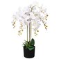 vidaXL mākslīgais augs, orhideja ar podiņu, 75 cm, balta cena un informācija | Mākslīgie ziedi | 220.lv