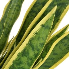 vidaXL mākslīgais augs, sansevjēra ar podiņu, 90 cm, zaļa cena un informācija | Mākslīgie ziedi | 220.lv