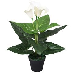 vidaXL mākslīgais augs, kalla llilija ar podiņu, 45 cm, balta cena un informācija | Mākslīgie ziedi | 220.lv