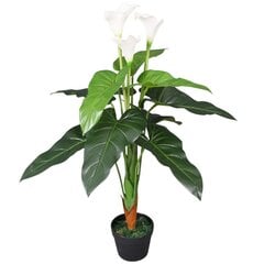 vidaXL mākslīgais augs, kalla llilija ar podiņu, 85 cm, balta cena un informācija | Mākslīgie ziedi | 220.lv