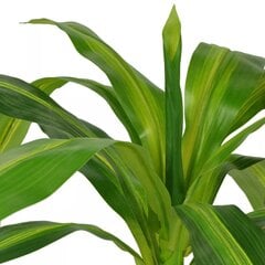 vidaXL mākslīgais augs, dracēna ar podiņu, 100 cm, zaļa цена и информация | Искусственные цветы | 220.lv