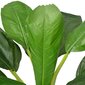 vidaXL mākslīgais augs, banānkoks ar podiņu, 150 cm, zaļš cena un informācija | Mākslīgie ziedi | 220.lv