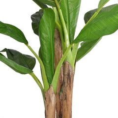 Искусственное банановое дерево, 175 см цена и информация | Искусственные цветы | 220.lv