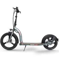 Электрический самокат Beaster Scooter BS08, 350 Вт, 36 В, 10 Ач цена и информация | Электросамокаты | 220.lv