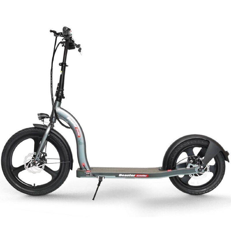 Elektriskais skrejritenis Beaster Scooter VOYAGER, 350 W, 36 V, 10 Ah цена и информация | Elektriskie skrejriteņi | 220.lv