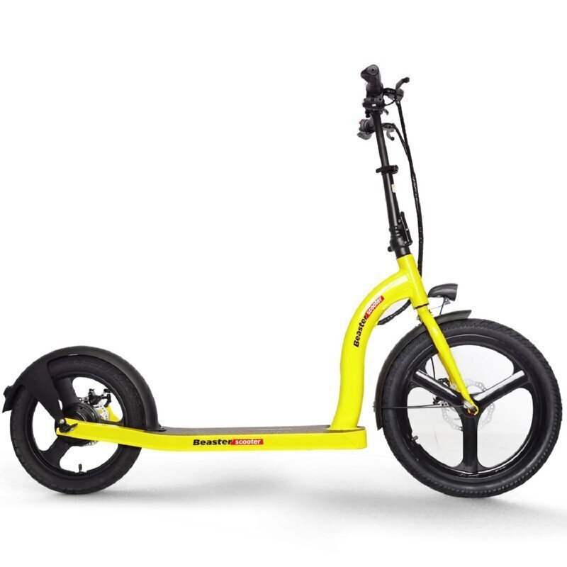 Elektriskais skrejritenis Beaster Scooter VOYAGER, 350 W, 36 V, 10 Ah cena un informācija | Elektriskie skrejriteņi | 220.lv