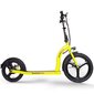 Elektriskais skrejritenis Beaster Scooter VOYAGER, 350 W, 36 V, 10 Ah цена и информация | Elektriskie skrejriteņi | 220.lv