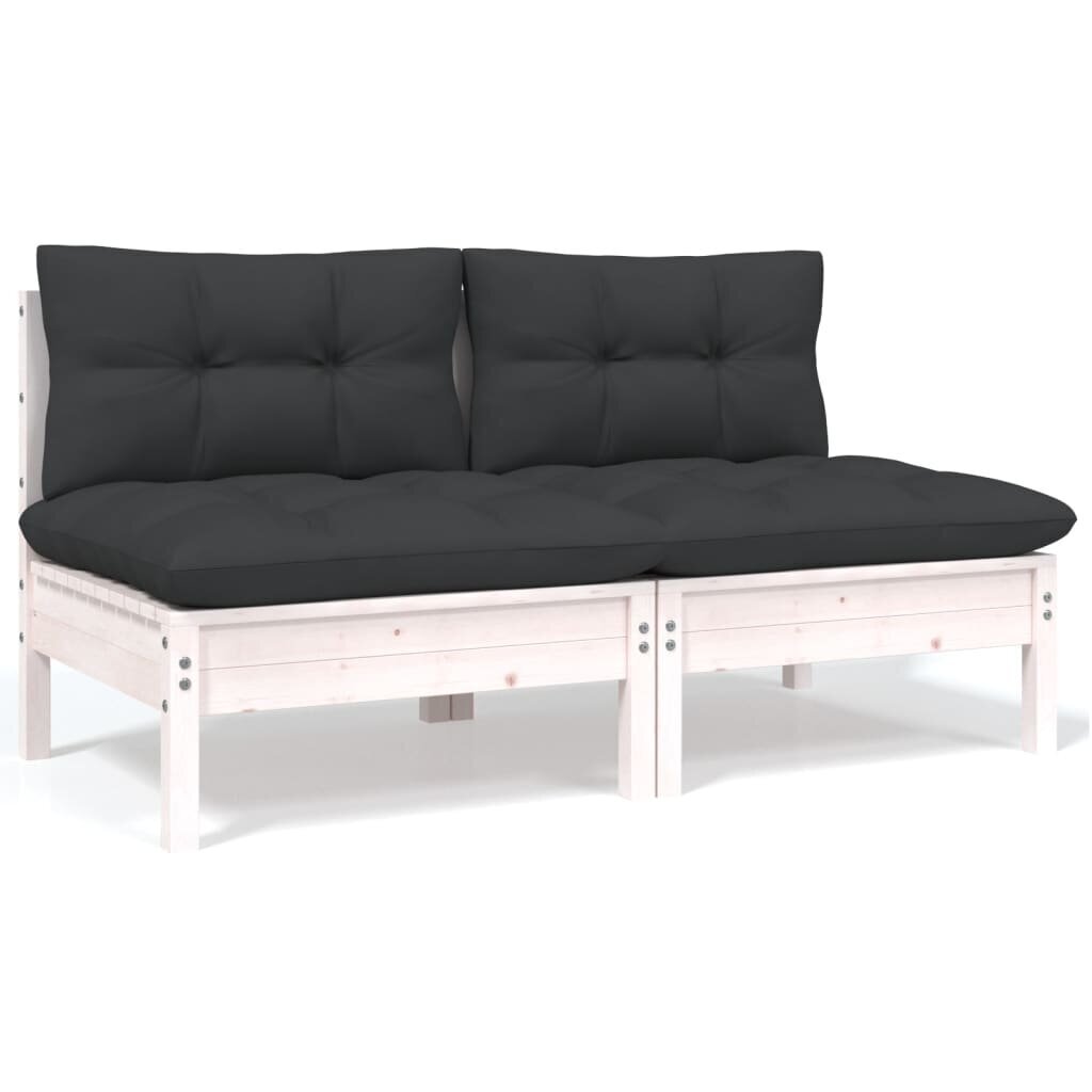 vidaXL 2-vietīgs dārza dīvāns ar spilveniem, balts priedes masīvkoks cena un informācija | Dārza krēsli | 220.lv
