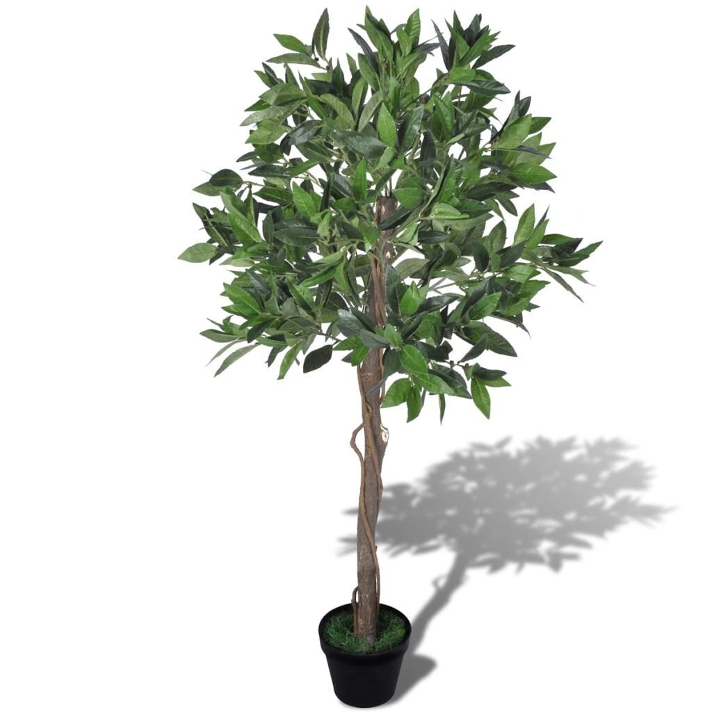 Mākslīgais lauru lapu koks ar podu, 120 cm cena un informācija | Mākslīgie ziedi | 220.lv