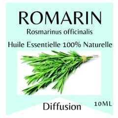 100% dabiska ēteriskā eļļa Rosemary, 10 ml cena un informācija | Ēteriskās eļļas, kosmētiskās eļļas, hidrolāti | 220.lv