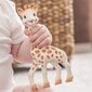 Košļājamā rotaļlieta Vulli Sophie la Girafe - Fresh Touch collection - Vegetal - 18 cm цена и информация | Rotaļlietas zīdaiņiem | 220.lv