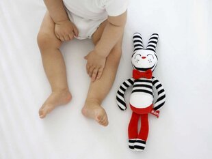 Мягкая игрушка - Зайка цена и информация | Игрушки для малышей | 220.lv