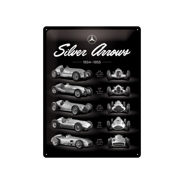 Metāla plāksne 30х40 cm / Mercedes-Benz - Silver Arrow Chart цена и информация | Dārza dekori | 220.lv