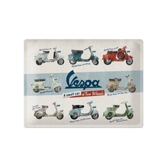 Metāla plāksne 30x40 cm / Vespa mallit cena un informācija | Dārza dekori | 220.lv