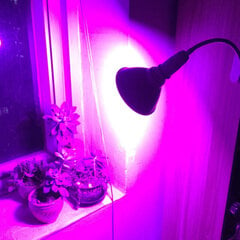 Лампа для растений красно-синяя 200 LED 20W цена и информация | Nav norādīts Бытовая техника и электроника | 220.lv