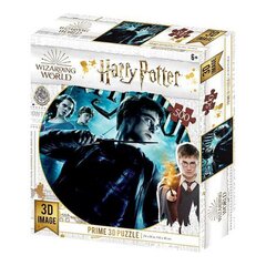 3D Puzle Harry Potter (500 pcs) цена и информация | Пазлы | 220.lv