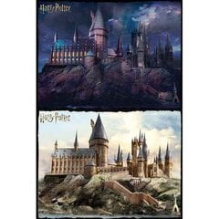 Puzle un domino komplekts Harry Potter Hogwarts Day and Night (500 pcs) cena un informācija | Puzles, 3D puzles | 220.lv