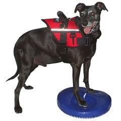 FitPAWS mājdzīvnieku līdzsvara disks, 36 cm, zils цена и информация | Аксессуары для дрессировки собак | 220.lv