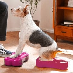 FitPAWS suņu līdzsvara platformas Mini K9FITbone, 2 gab., 29x16,5x6 cm cena un informācija | Piederumi suņu trenēšanai | 220.lv