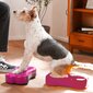 FitPAWS suņu līdzsvara platformas Mini K9FITbone, 2 gab., 29x16,5x6 cm цена и информация | Piederumi suņu trenēšanai | 220.lv