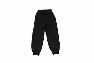 Cпортивные штаны для мальчиков цена и информация | Штаны для мальчиков | 220.lv