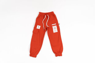 Спортивные штаны для девочек цена и информация | Штаны для девочки ABN-2959/KOR/086 | 220.lv