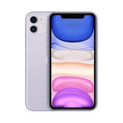 Apple iPhone 11 (Atjaunināts), 64GB, Violets cena un informācija | Mobilie telefoni | 220.lv