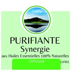 Dabisku ēterisko eļļu maisījums Synergy of Purifying, 10 ml cena un informācija | Ēteriskās eļļas, kosmētiskās eļļas, hidrolāti | 220.lv