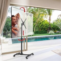 Barkan SW310H 13-65” цена и информация | Кронштейны и крепления для телевизоров | 220.lv