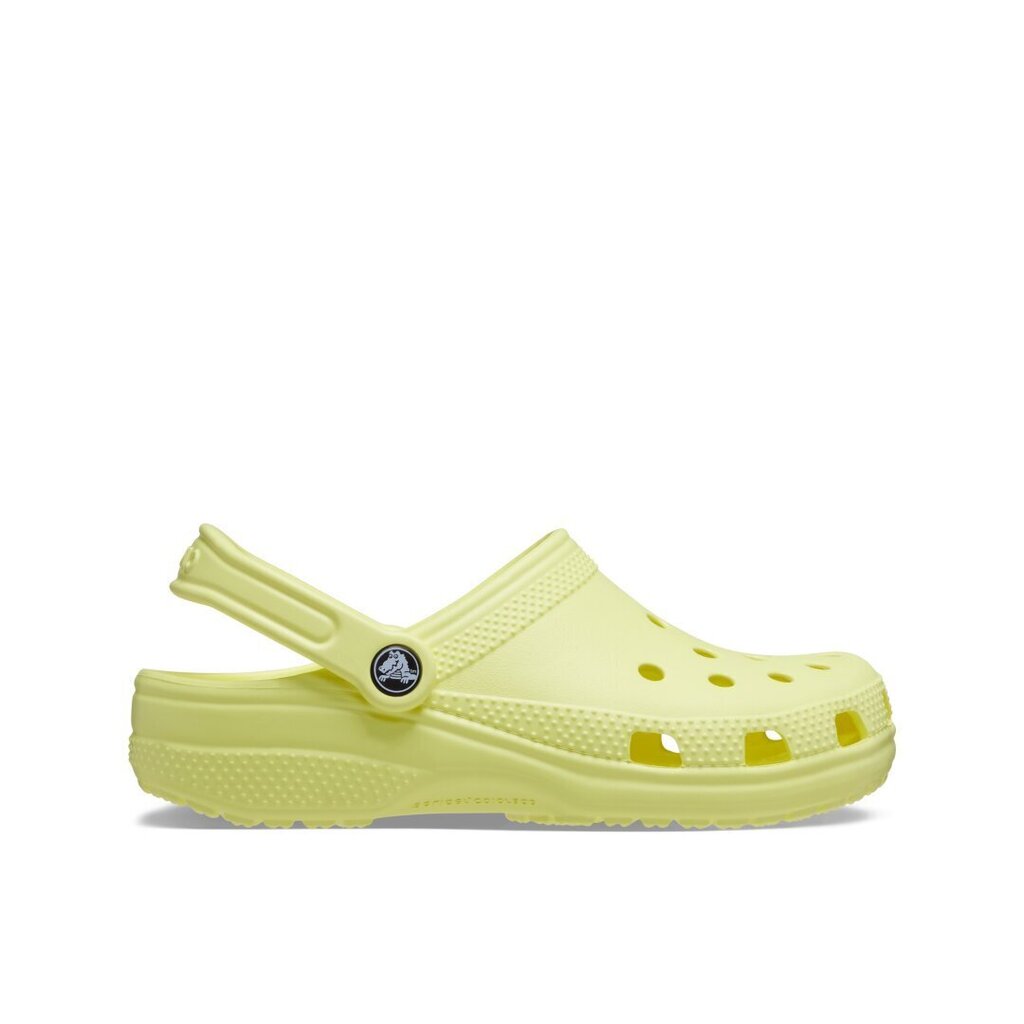 Crocs™ Classic 180024 цена и информация | Iešļūcenes, čības sievietēm | 220.lv