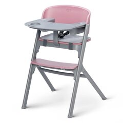 Barošanas krēsls Kinderkaft Livy, Ater Pink cena un informācija | Barošanas krēsli | 220.lv
