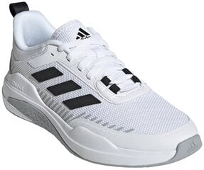 Мужские кроссовки Adidas Trainer V GX0733 GX0733/9, белые цена и информация | Кроссовки мужские | 220.lv