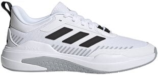 Мужские кроссовки Adidas Trainer V GX0733 GX0733/9, белые цена и информация | Кроссовки для мужчин | 220.lv