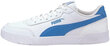 Puma Apavi Caracal White 369863 10/10 цена и информация | Sporta apavi vīriešiem | 220.lv