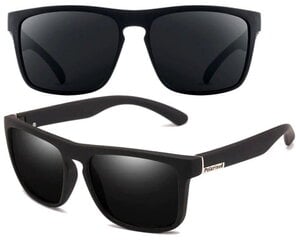 Vīriešu saulesbrilles E13, melnas цена и информация | Солнцезащитные очки для мужчин | 220.lv