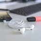 4smarts Active Earphones Austiņas ar Mikrofonu un Skaļuma Regulēšanas pulti / USB-C / 1.2m цена и информация | Austiņas | 220.lv