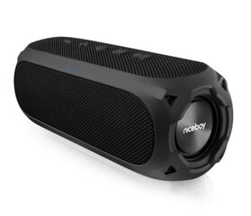 Niceboy RAZE 3 Radion Bluetooth 5.0 Беспроводная колонка / IP67 / AUX / FM / MP3 / Micro SD / 24W цена и информация | Аудиоколонки | 220.lv