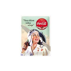 Metāla plāksne 30x40 cm / Coca-Cola "Your Thirst Takes Wings" cena un informācija | Interjera priekšmeti | 220.lv