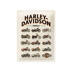 Metāla plāksne 30x40 cm / Harley Davidson Models cena un informācija | Interjera priekšmeti | 220.lv