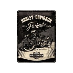 Metāla plāksne 30x40 cm / Harley-Davidson - Flathead cena un informācija | Interjera priekšmeti | 220.lv