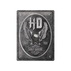 Metāla plāksne 30x40 cm / Harley-Davidson - Metal Eagle cena un informācija | Interjera priekšmeti | 220.lv