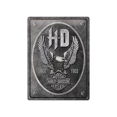 Metāla plāksne 30x40 cm / Harley-Davidson - Metal Eagle цена и информация | Детали интерьера | 220.lv