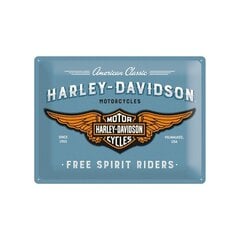 Metāla plāksne 30x40 cm / Harley-Davidson logotips, zils cena un informācija | Interjera priekšmeti | 220.lv