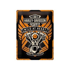 Металлическая пластина 30x40 см / Harley-Davidson Wild at Heart цена и информация | Детали интерьера | 220.lv