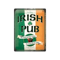 Metāla plāksne 30x40 cm / Irish Pub cena un informācija | Interjera priekšmeti | 220.lv