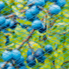 423502 Nature Bird Netting "Nano" 10x4 m Blue cena un informācija | Dārza instrumenti | 220.lv