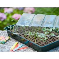 409320 Nature Propagator Mini Kit 7x11 Cells цена и информация | Ветки | 220.lv