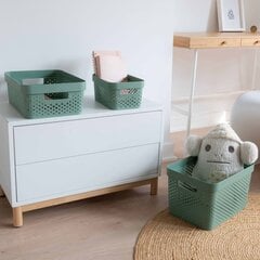 427239 Curver "Infinity" Storage Box Set 4 pcs with Lid 11L+17L Green цена и информация | Ящики для вещей | 220.lv